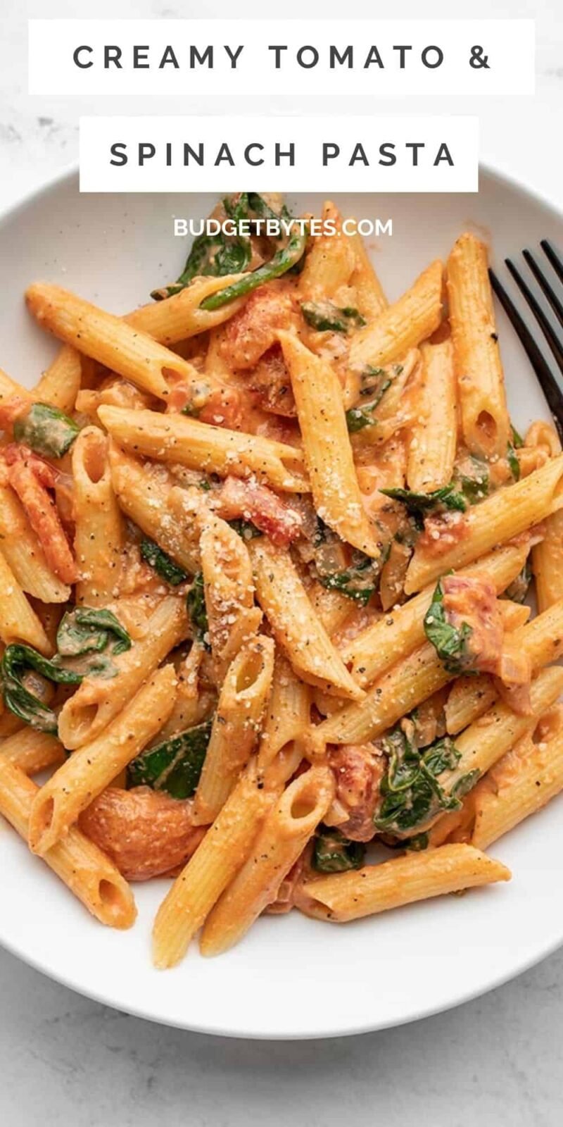 creamy tomato pasta in a bowl, title text at the top