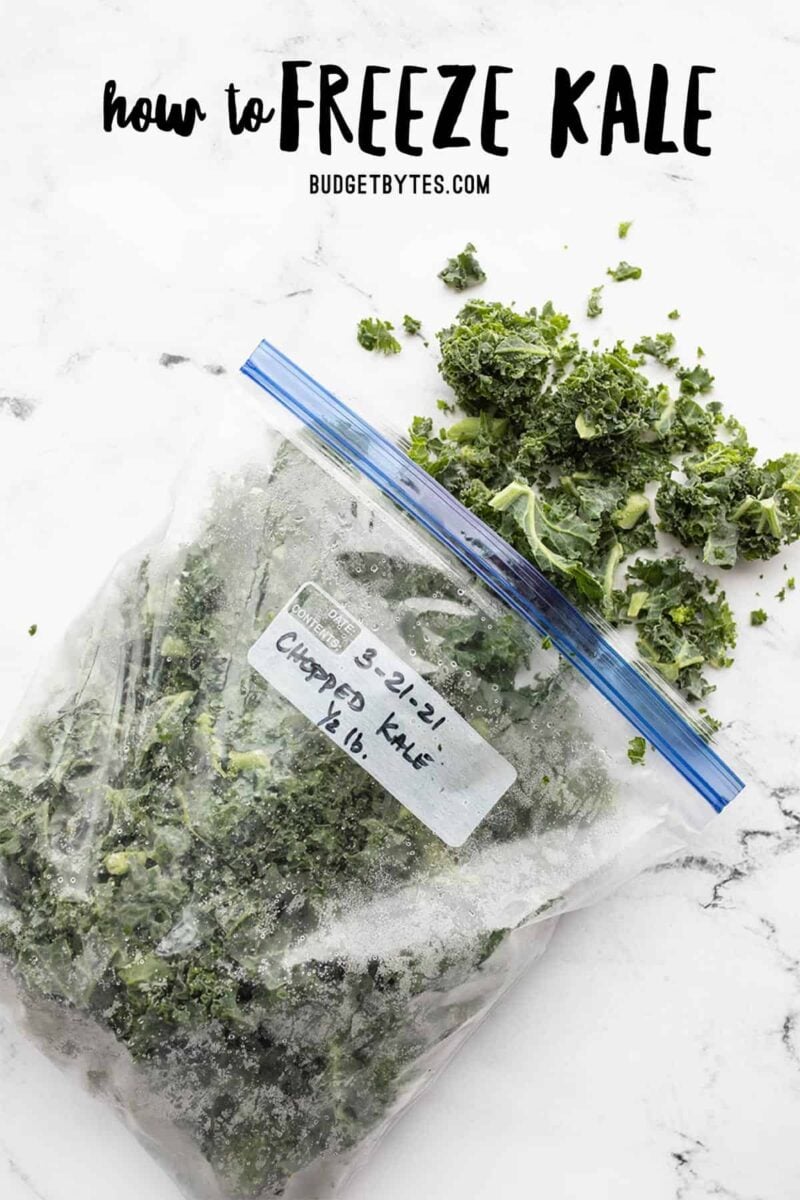 A freezer bag with kale spilling out the top, title text at the top