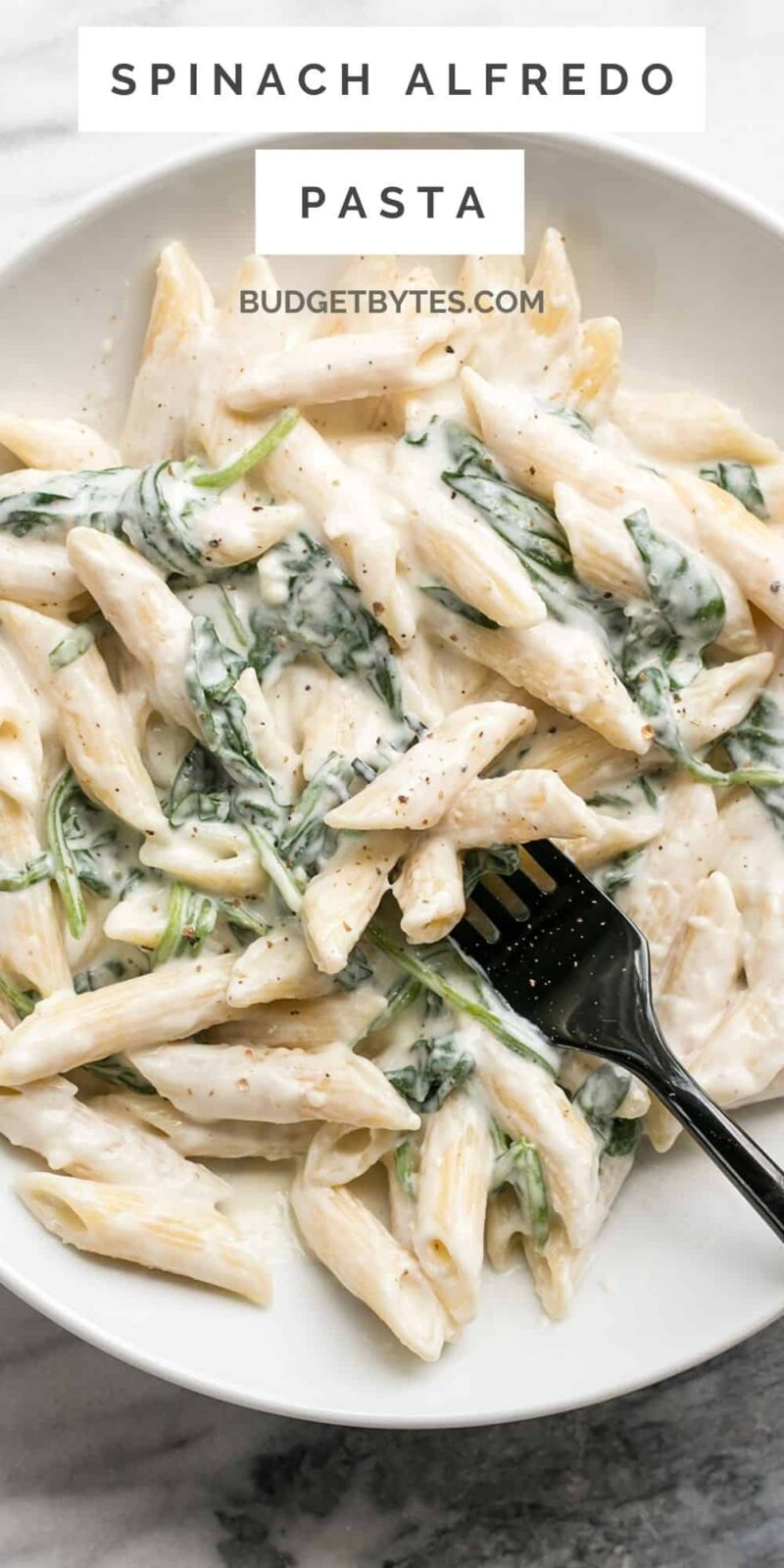 close up overhead view of a bowl of spinach alfredo pasta.