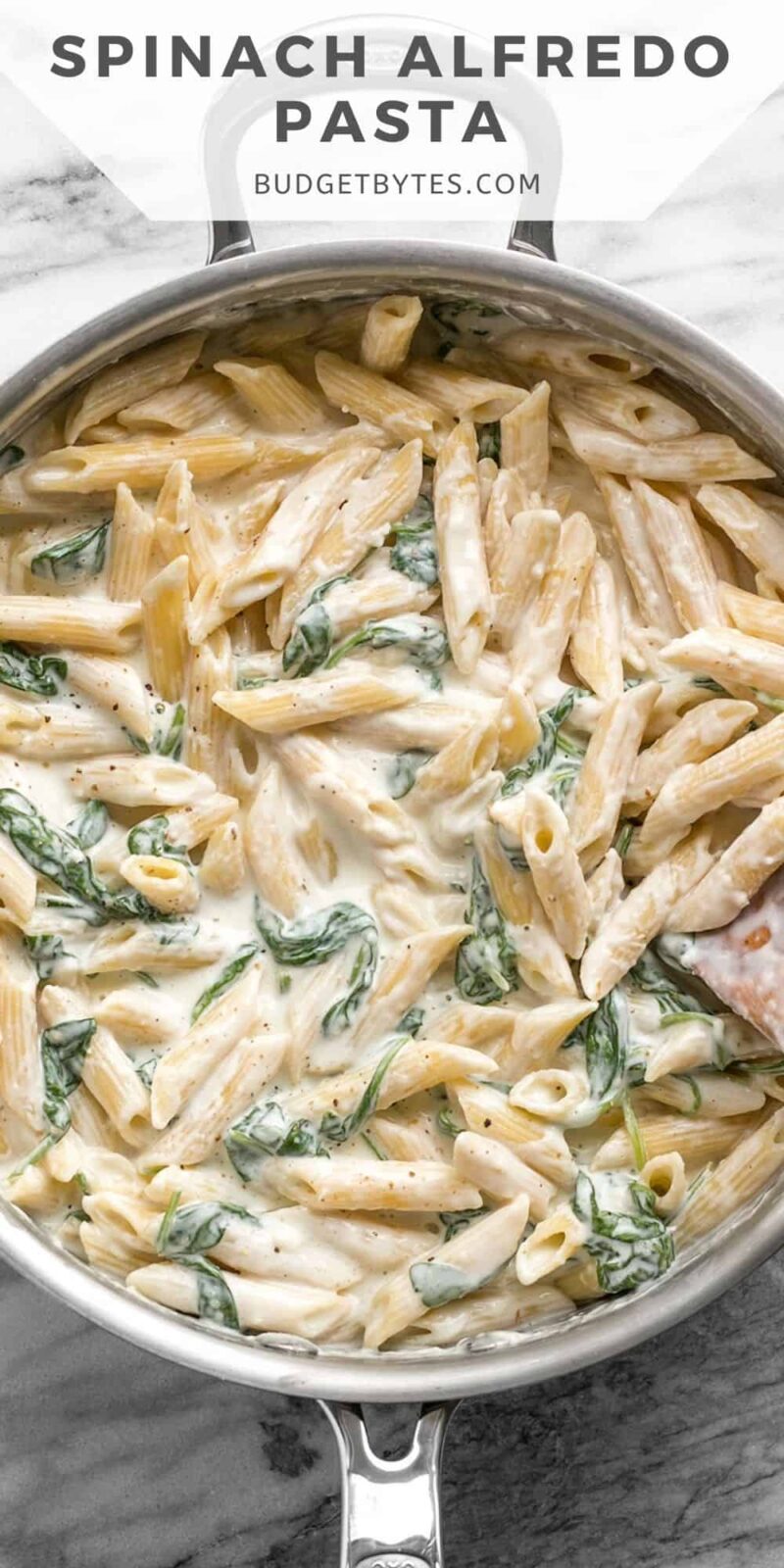 Overhead view of spinach alfredo pasta in the skillet.